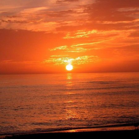 Canal 309 - Right In Siesta Key Village! Exteriör bild