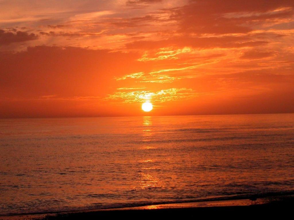 Canal 309 - Right In Siesta Key Village! Exteriör bild